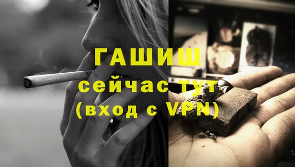 гашик Горняк