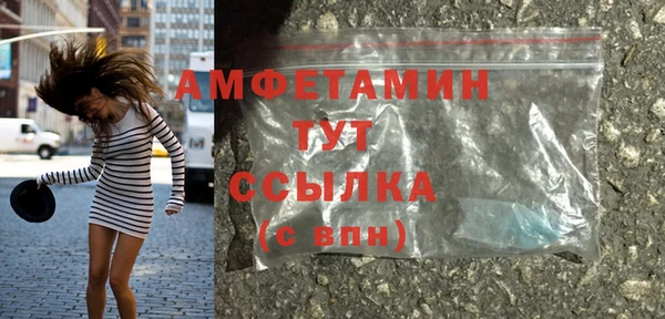 гашик Горняк