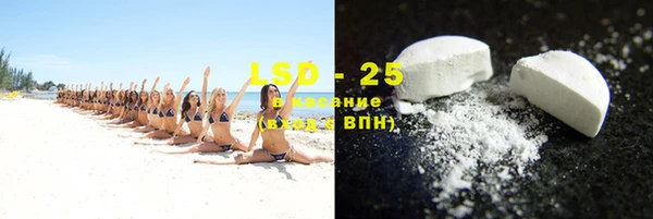 гашик Горняк