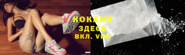 молекула духа Горно-Алтайск
