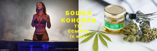 молекула духа Горно-Алтайск