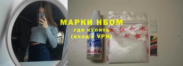 гашик Горняк