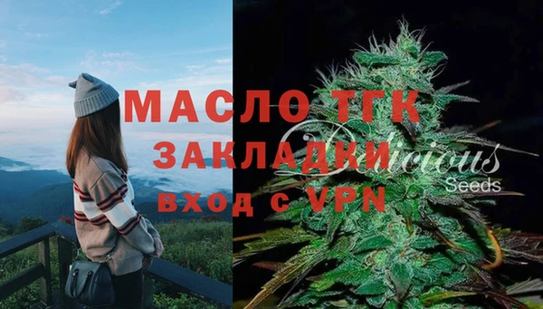 молекула духа Горно-Алтайск