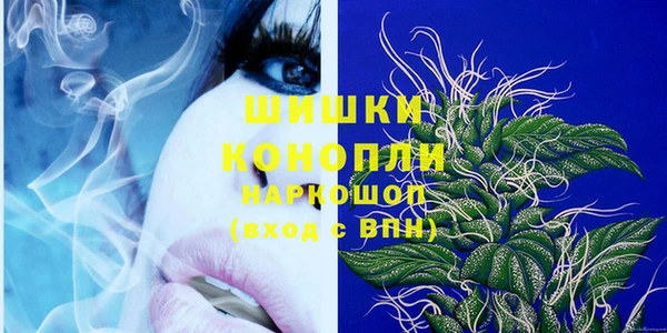 молекула духа Горно-Алтайск