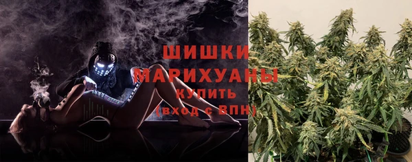 гашик Горняк