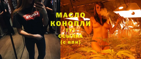 гашик Горняк
