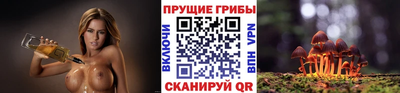Псилоцибиновые грибы мицелий  Перевоз 